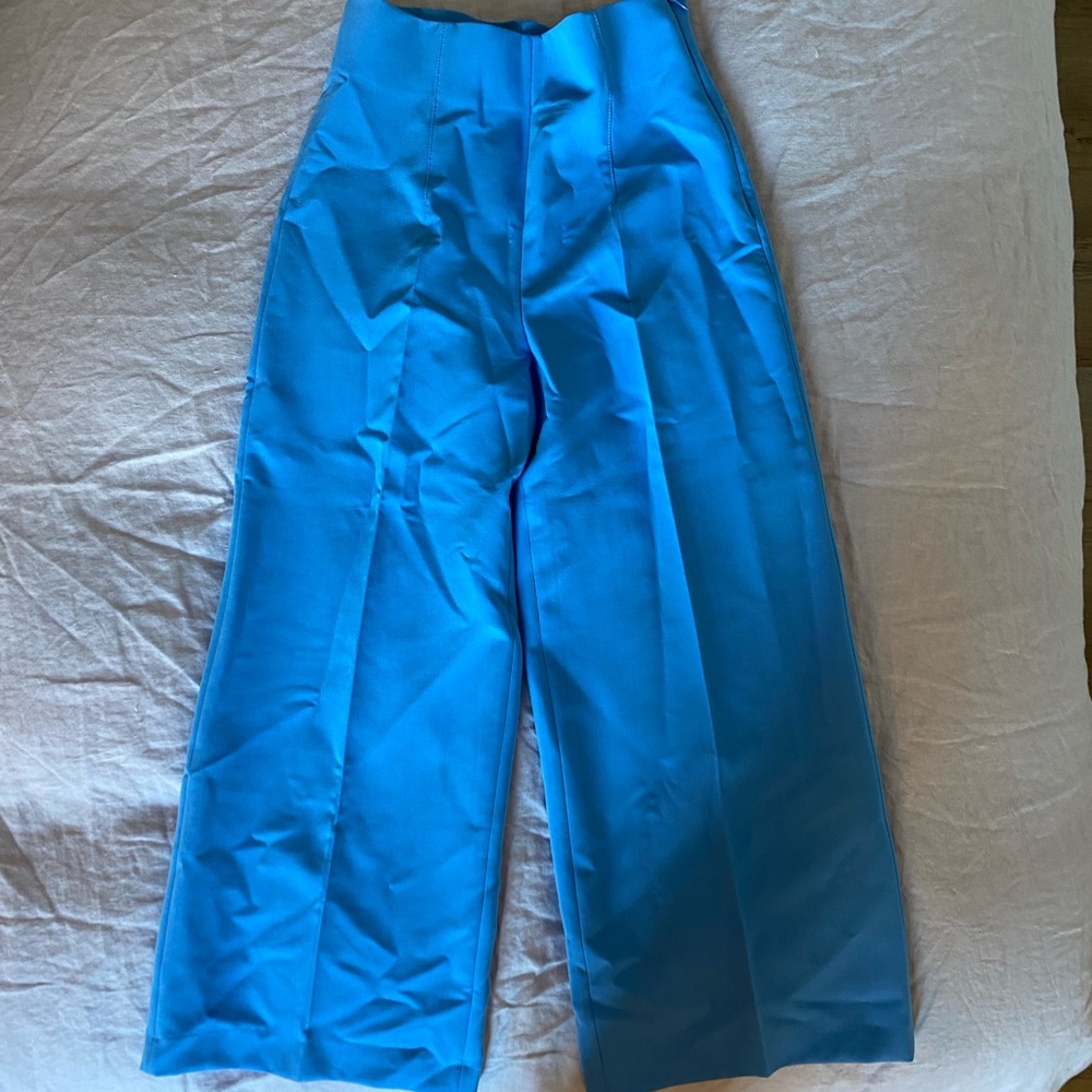 Zara Blue Wide-Leg Colette Pants